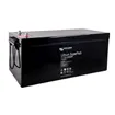 Victron Energy LiFePO baterie 12,8V/200Ah Lithium SuperPack